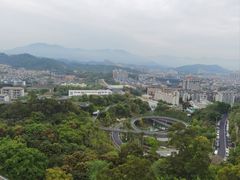 -福道