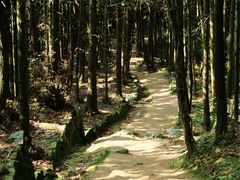 -大罗山风景区