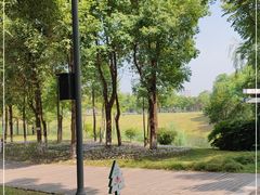 -眉山湿地公园(东坡区)