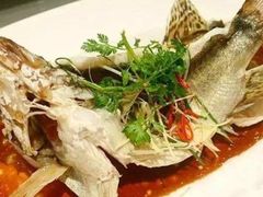 清蒸桂鱼-万商花园酒店万雅轩中餐厅