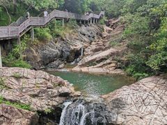 -广州白江湖森林公园