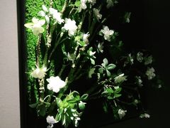 -仟汇足道·SPA(秀洲总店)