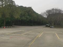 -胜华驾校·小猫学车(银都店)