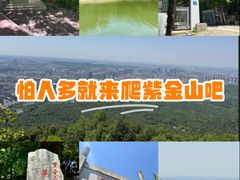-紫金山山顶公园