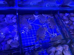 -青蓬蒸汽海鲜·深圳老字号·团建聚会(壹方城店)