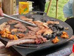 -海堤葡萄园中小学生研学基地