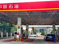 -中石油油气站(绿园店)