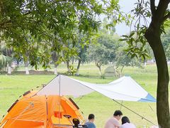 -鹤之洲湿地公园
