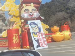 -沈阳森林动物园