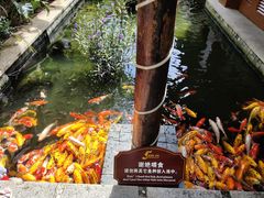 -三亚亚龙湾五号度假别墅酒店