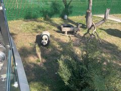 -沈阳森林动物园