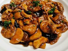 -天福苑(崇宁路店)