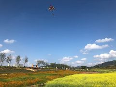 -光明小镇欢乐田园