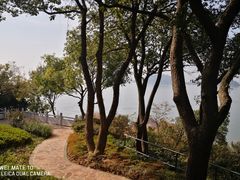 -上海市保健医疗中心