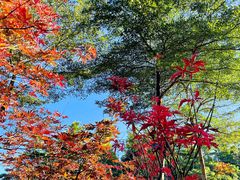 -广州市帽峰山景区