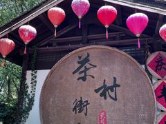 -天目湖山水园