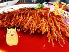 金毛狮子鱼-丹江渔村(望京店)