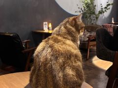 -咖法森林·咖啡  酒吧(天河店)