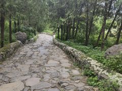 -阳台山自然风景区