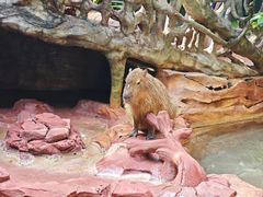 -长鹿旅游休博园