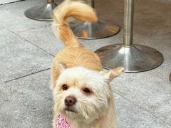 -fishtank鱼缸咖啡(三山街店)