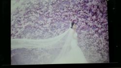 点击看大图 -太郎花子婚纱摄影艺术中心