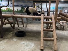 -西安秦岭野生动物园
