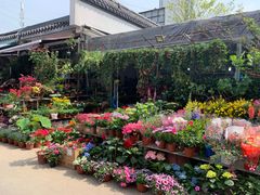 -平吉花卉市场