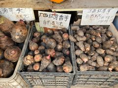 -葑门横街