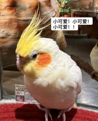 -Zoolung Zoolung动物主题公园(海信广场店)