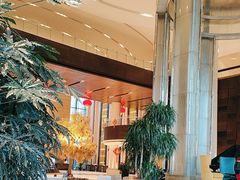 -新都绿城喜来登酒店大堂吧