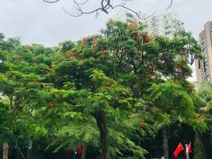 -四海公园(南山区)