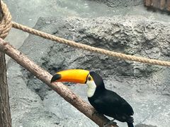 -武汉动物园