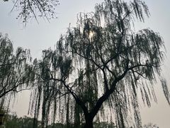 -颐和园