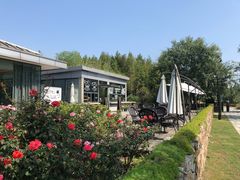 -田园东方蜜桃村的田野营地