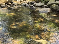 -武汉姚家山旅游景区
