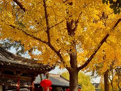 -常熟方塔园