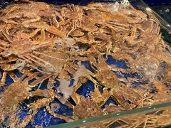 -高佳庄·舟山海鲜(海景旗舰店)