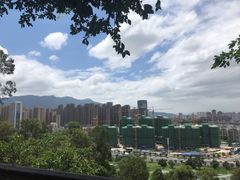 -金鸡山公园