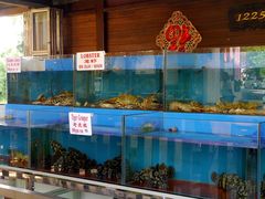 -真浪花园海鲜餐馆