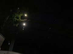 -中国西峡恐龙遗迹园