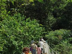 -招虎山国家森林公园-售票处