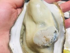 烤百合-食神鱼头佛跳墙(百子湾旗舰店)