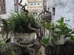 -烟雨江南徽菜