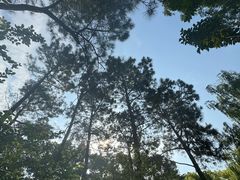 -西林禅寺