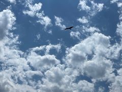 -新疆那拉提国家旅游度假区