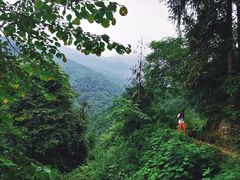 -西岭雪山大飞水景区