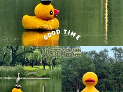 -朝阳公园