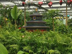 -南宫五洲植物乐园