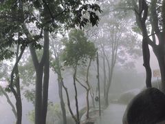 -火炉山森林公园